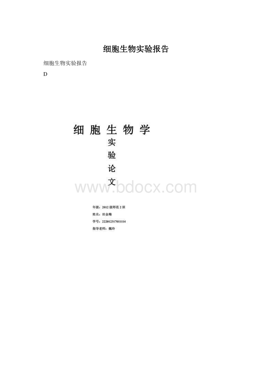 细胞生物实验报告Word格式.docx