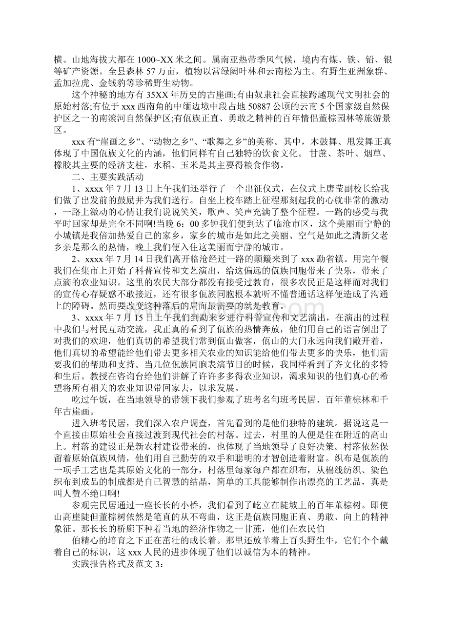 实践报告格式及范文Word格式文档下载.docx_第3页