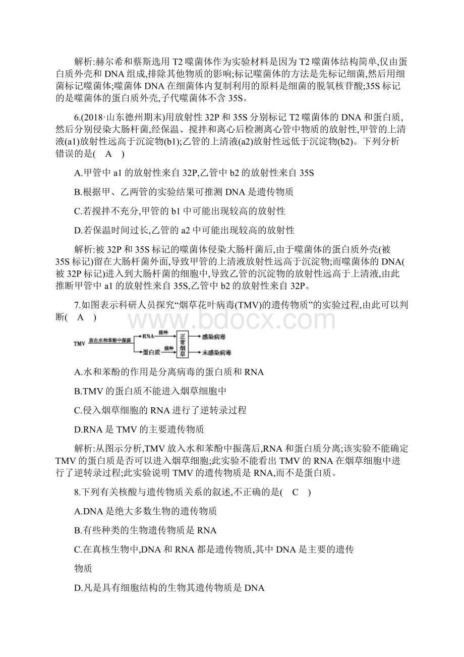 版高考生物人教版第六单元 遗传的分子基础第17讲 DNA是主要的遗传物质文档格式.docx_第3页