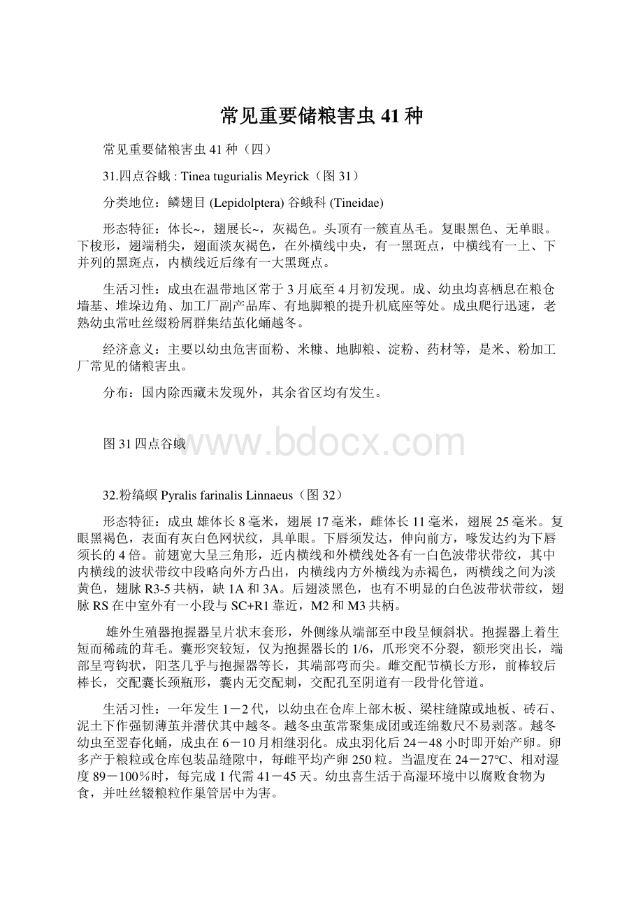 常见重要储粮害虫41种.docx_第1页