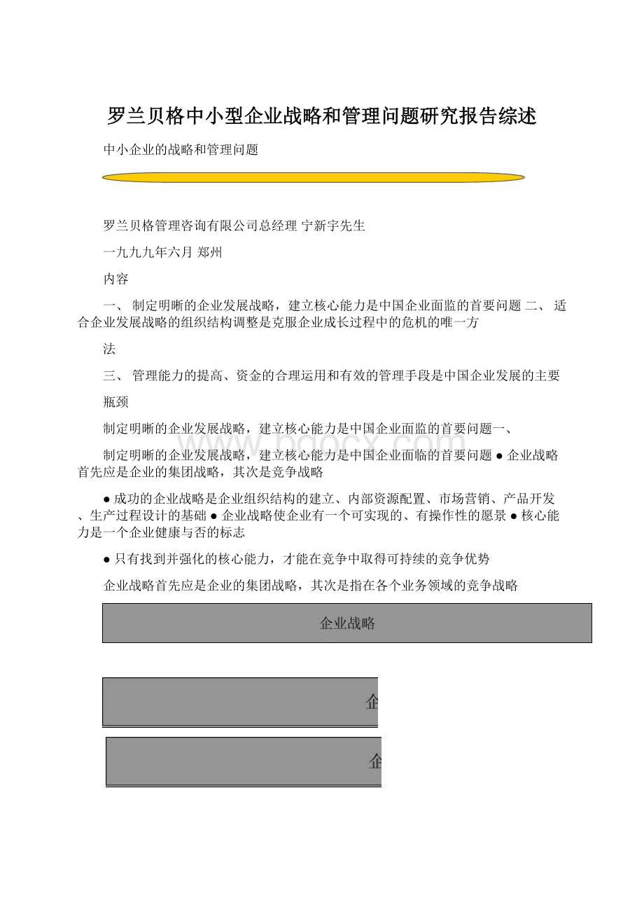 罗兰贝格中小型企业战略和管理问题研究报告综述.docx