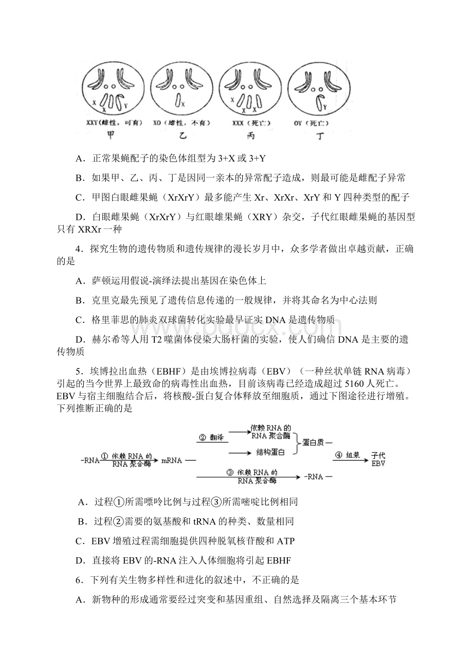 山东省济宁市微山县第二中学届高三第四次月考理科综合试题 Word版含答案.docx_第2页