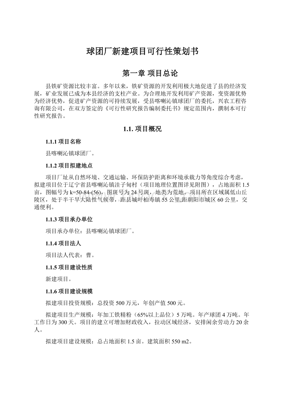 球团厂新建项目可行性策划书.docx_第1页