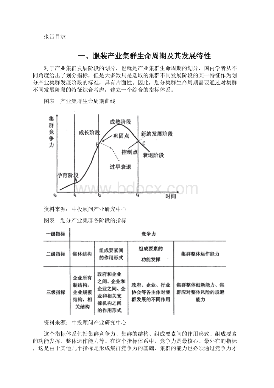 中国服装产业集群发展模式深度分析及发展战略研究报告.docx_第2页