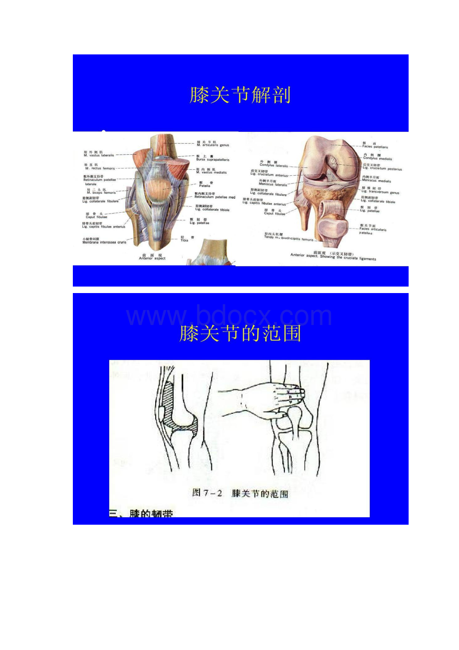 膝关节检查法讲解Word文档下载推荐.docx_第2页