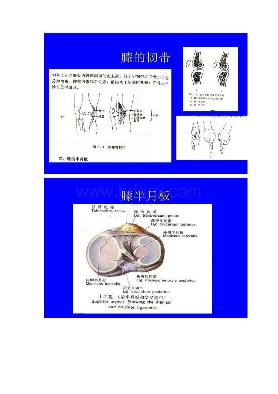 膝关节检查法讲解Word文档下载推荐.docx_第3页