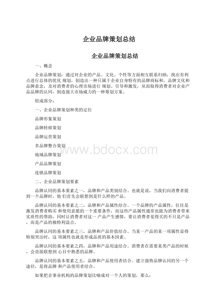 企业品牌策划总结Word格式.docx