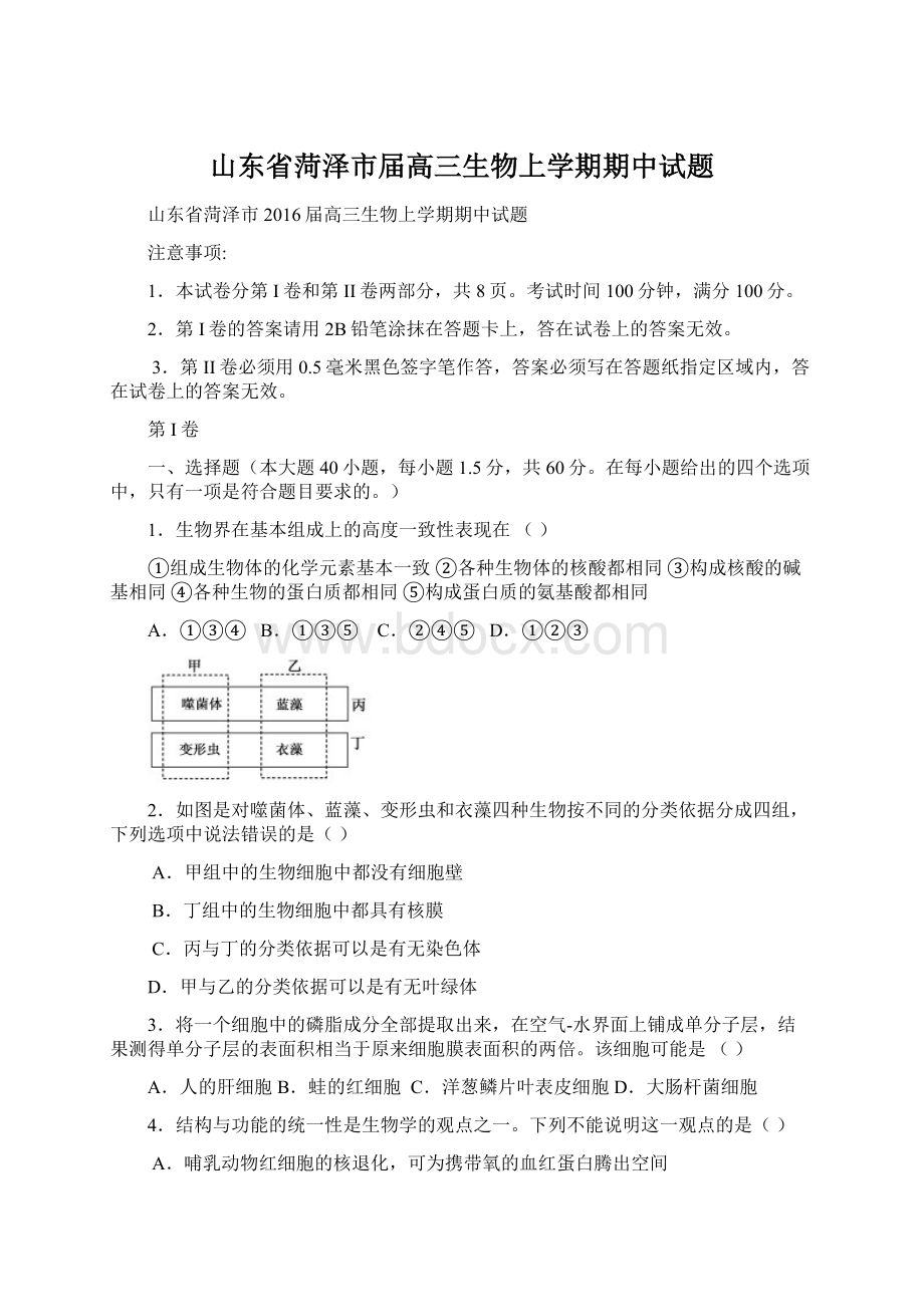 山东省菏泽市届高三生物上学期期中试题.docx_第1页