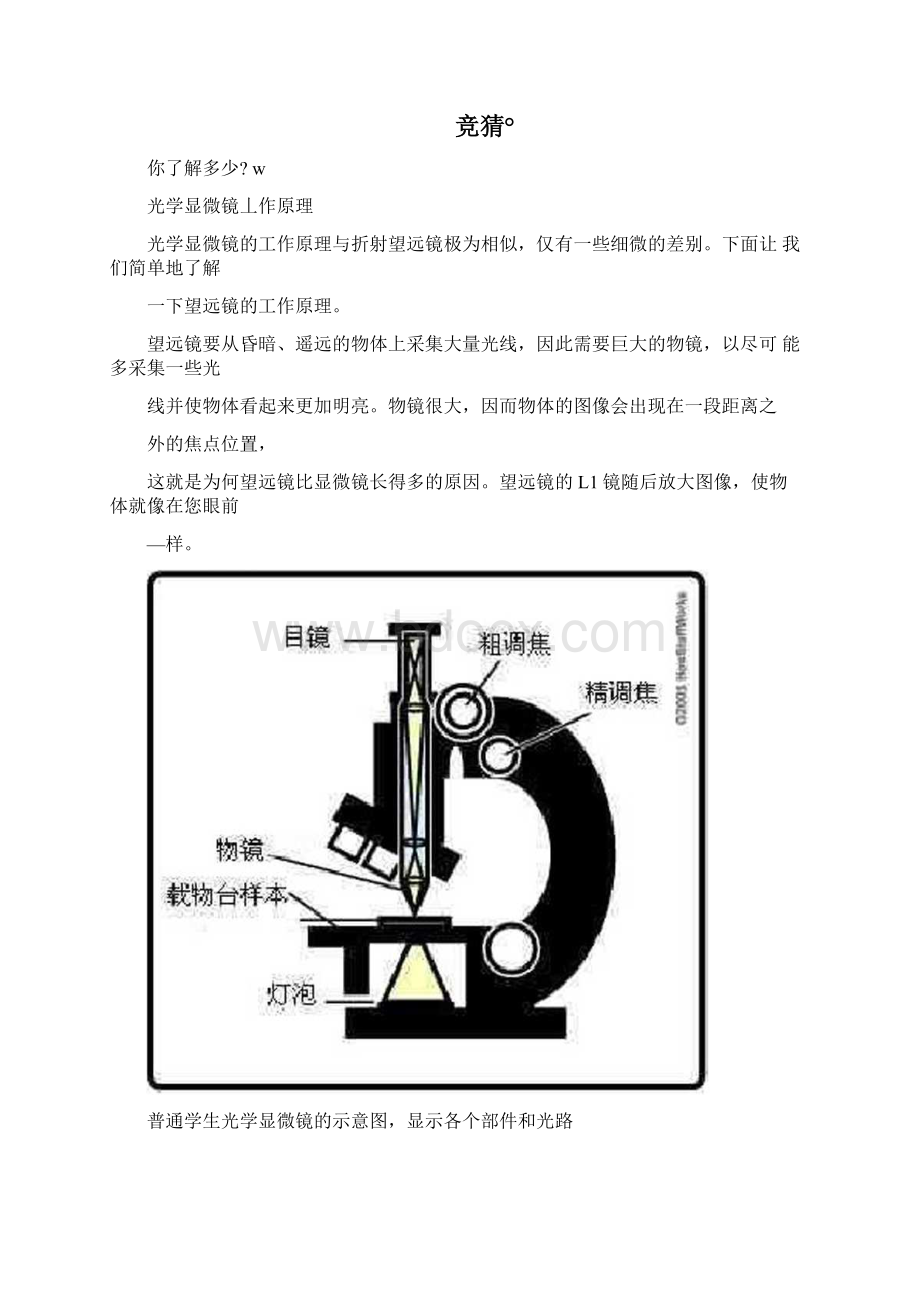 光学显微镜工作原理.docx_第2页