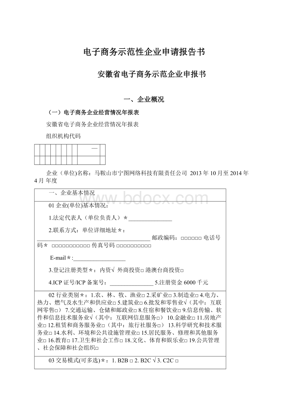 电子商务示范性企业申请报告书.docx_第1页