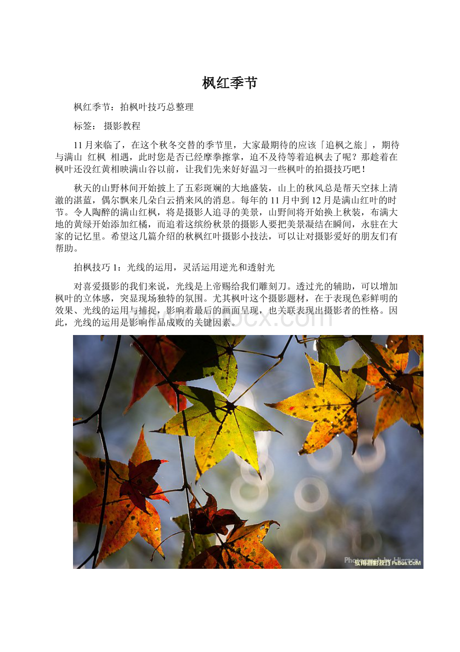 枫红季节Word文件下载.docx_第1页