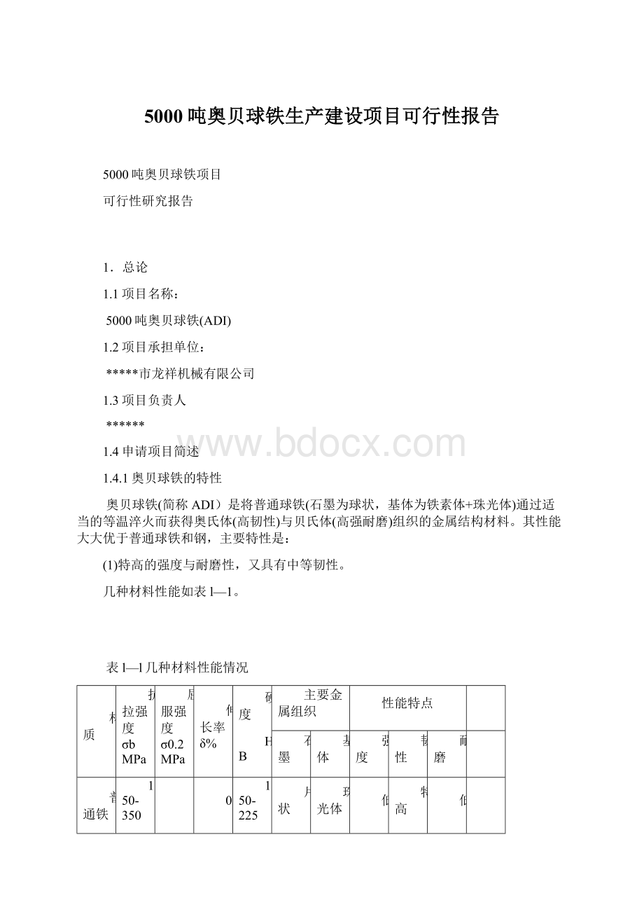 5000吨奥贝球铁生产建设项目可行性报告.docx