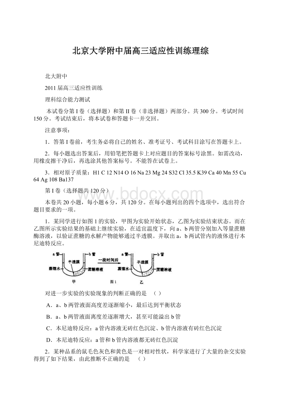 北京大学附中届高三适应性训练理综Word文件下载.docx_第1页