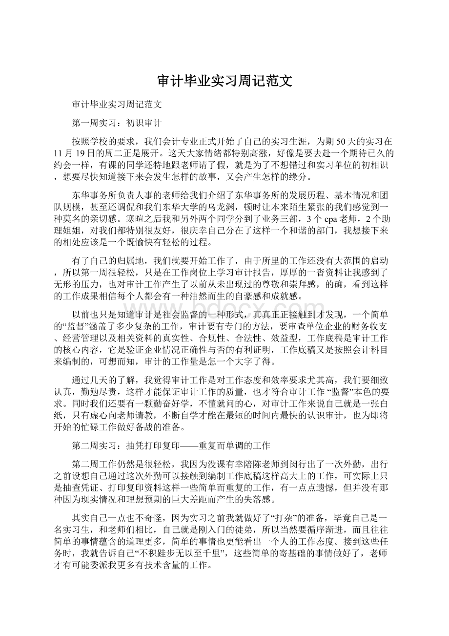 审计毕业实习周记范文Word格式文档下载.docx