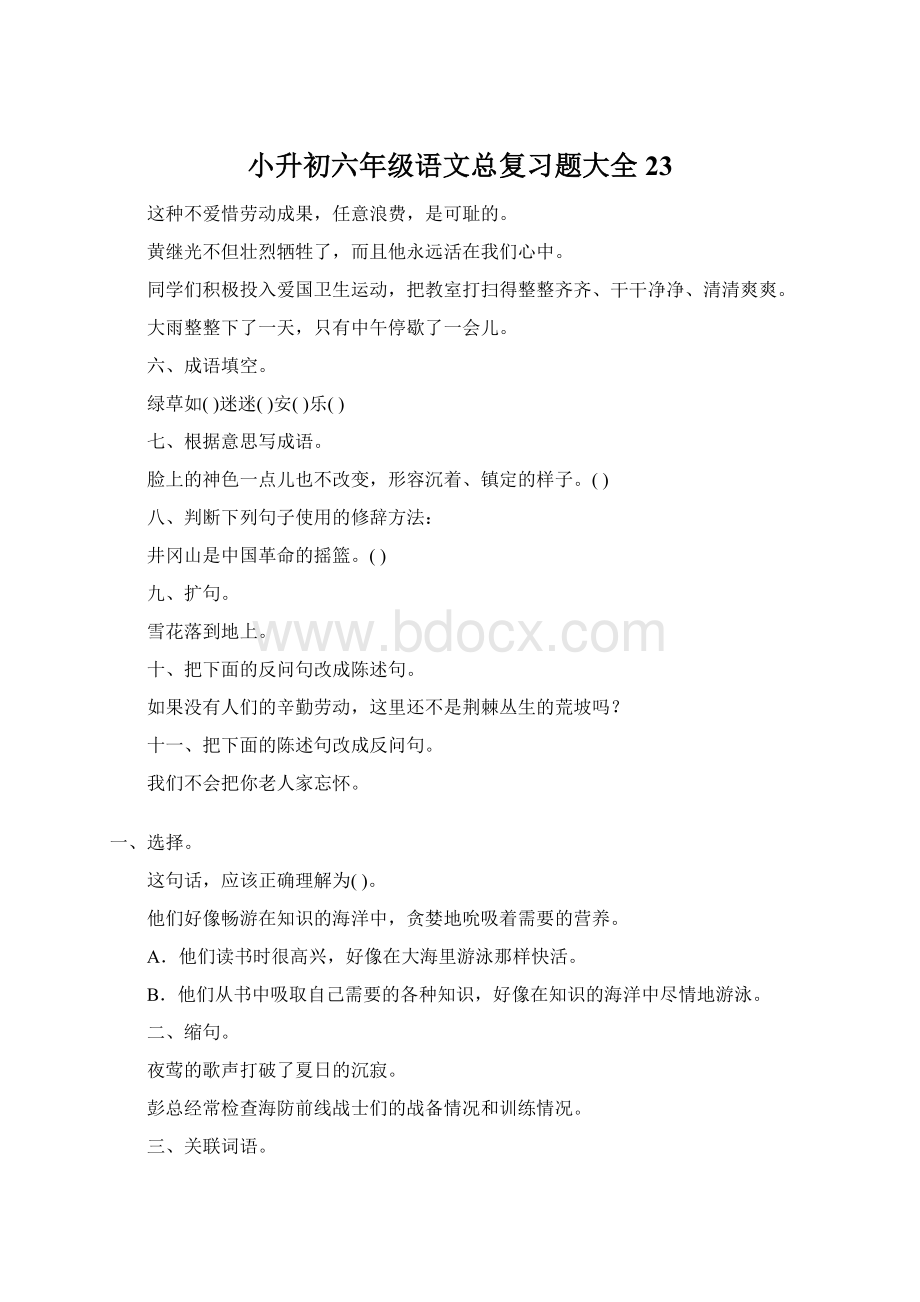 小升初六年级语文总复习题大全23.docx