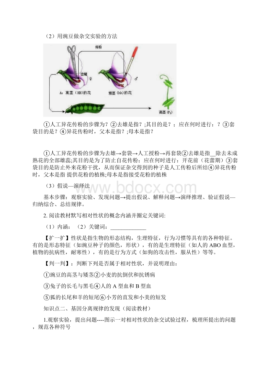 必修2第1章基因的分离规律第一课时.docx_第2页