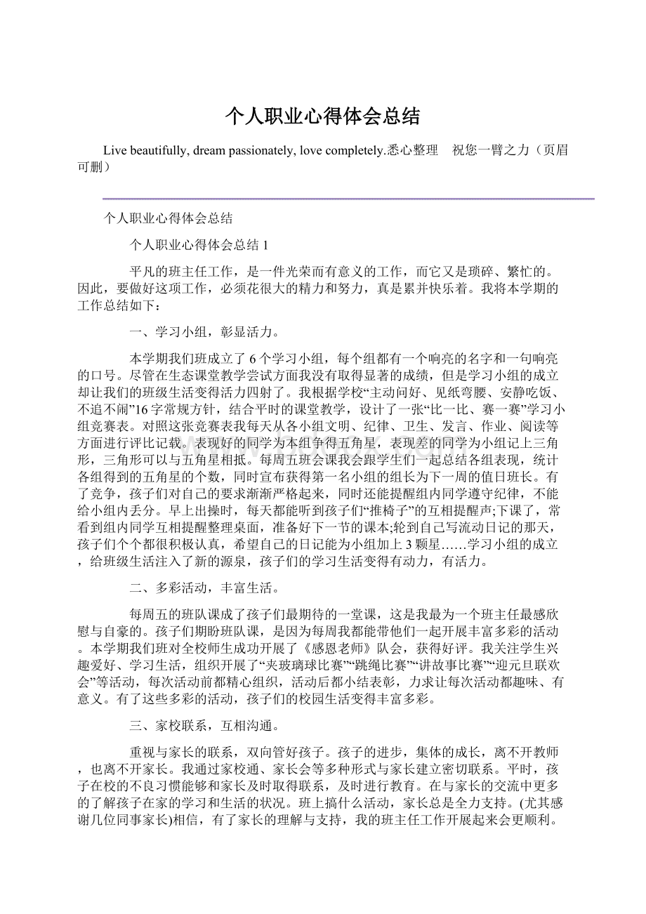 个人职业心得体会总结Word下载.docx