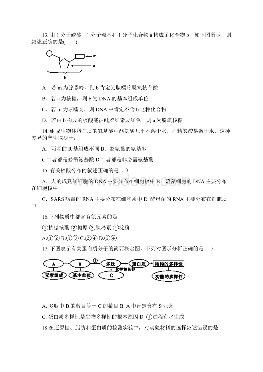 学年甘肃省甘谷县第一中学高一上学期第一次月考生物试题Word格式文档下载.docx_第3页