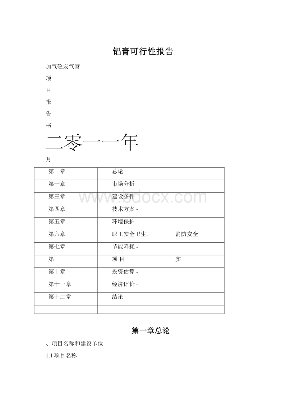 铝膏可行性报告.docx_第1页