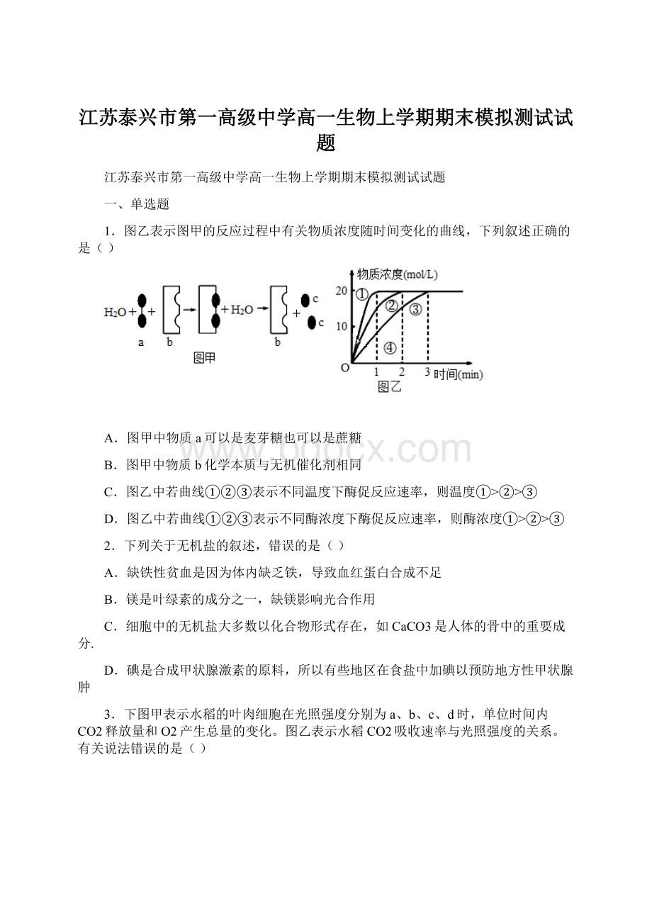 江苏泰兴市第一高级中学高一生物上学期期末模拟测试试题Word格式文档下载.docx_第1页