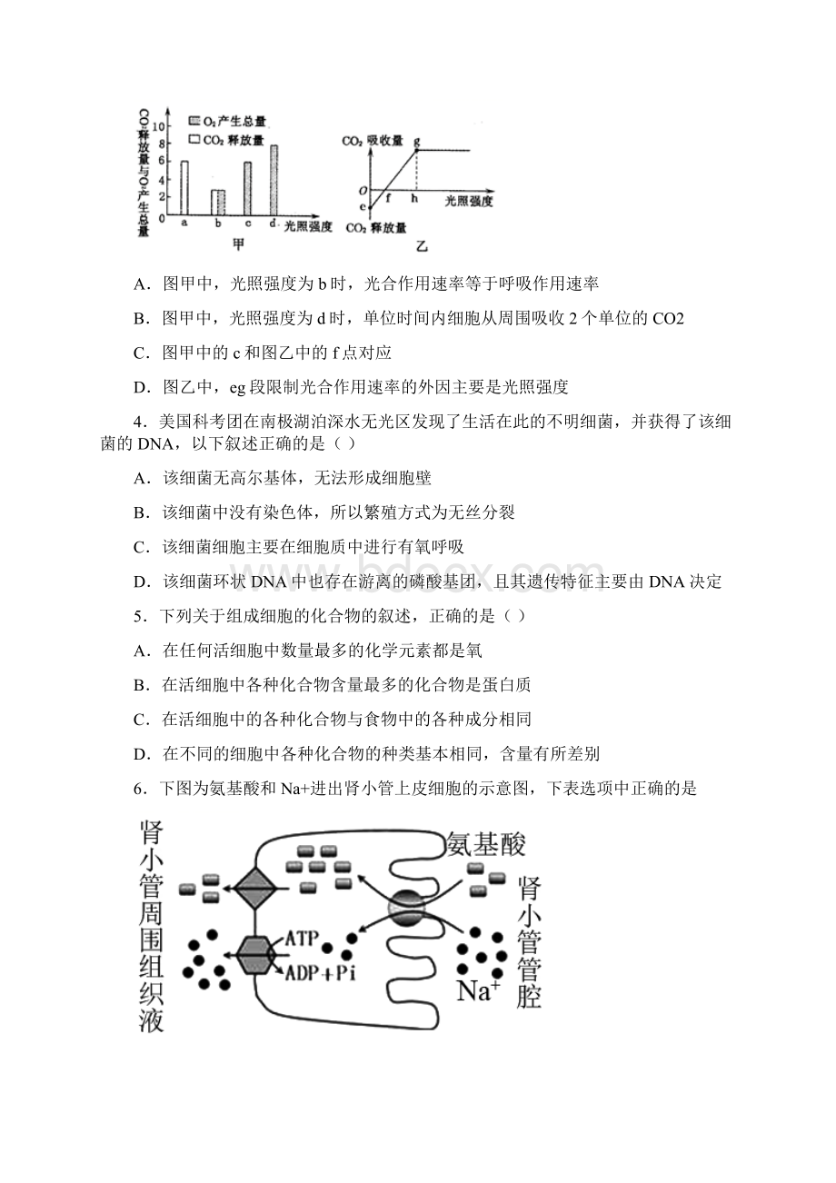 江苏泰兴市第一高级中学高一生物上学期期末模拟测试试题Word格式文档下载.docx_第2页