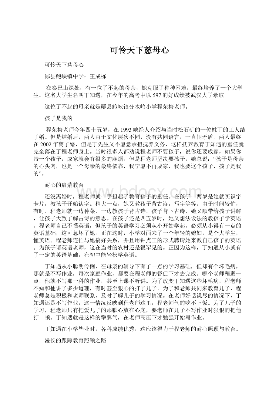 可怜天下慈母心文档格式.docx