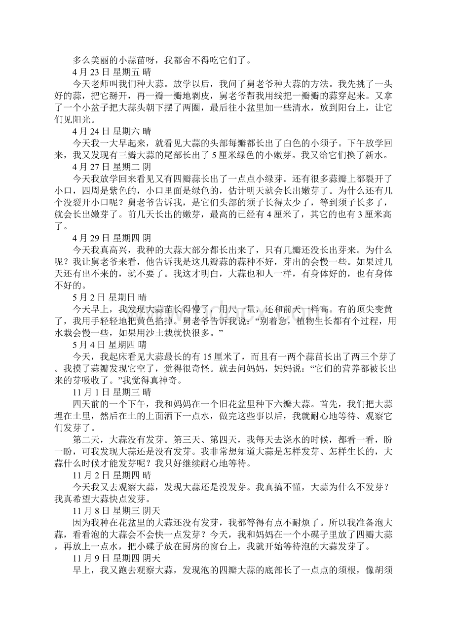 大蒜观察日记精选31篇文档格式.docx_第3页