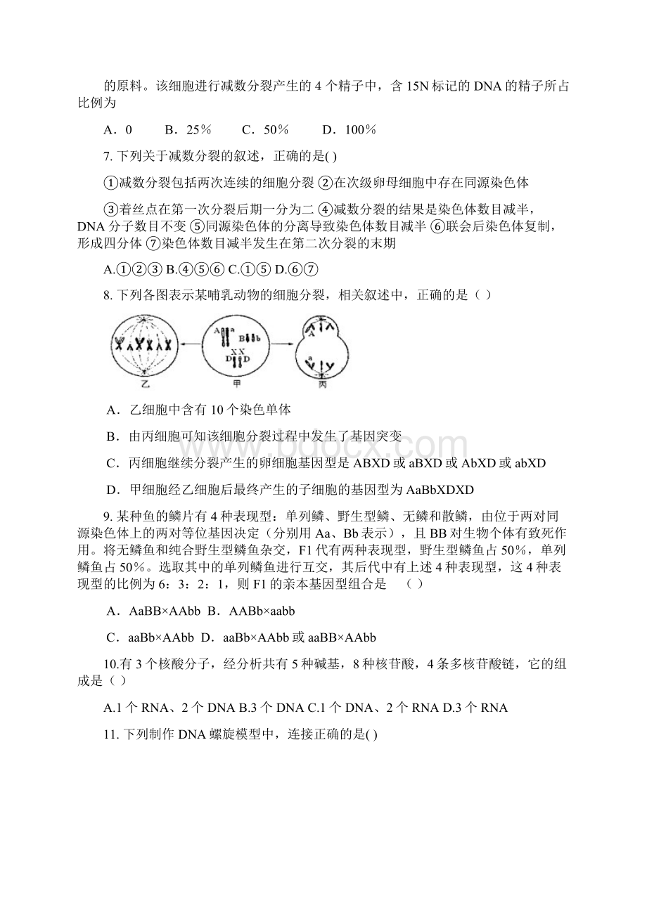 遗传变异题.docx_第2页