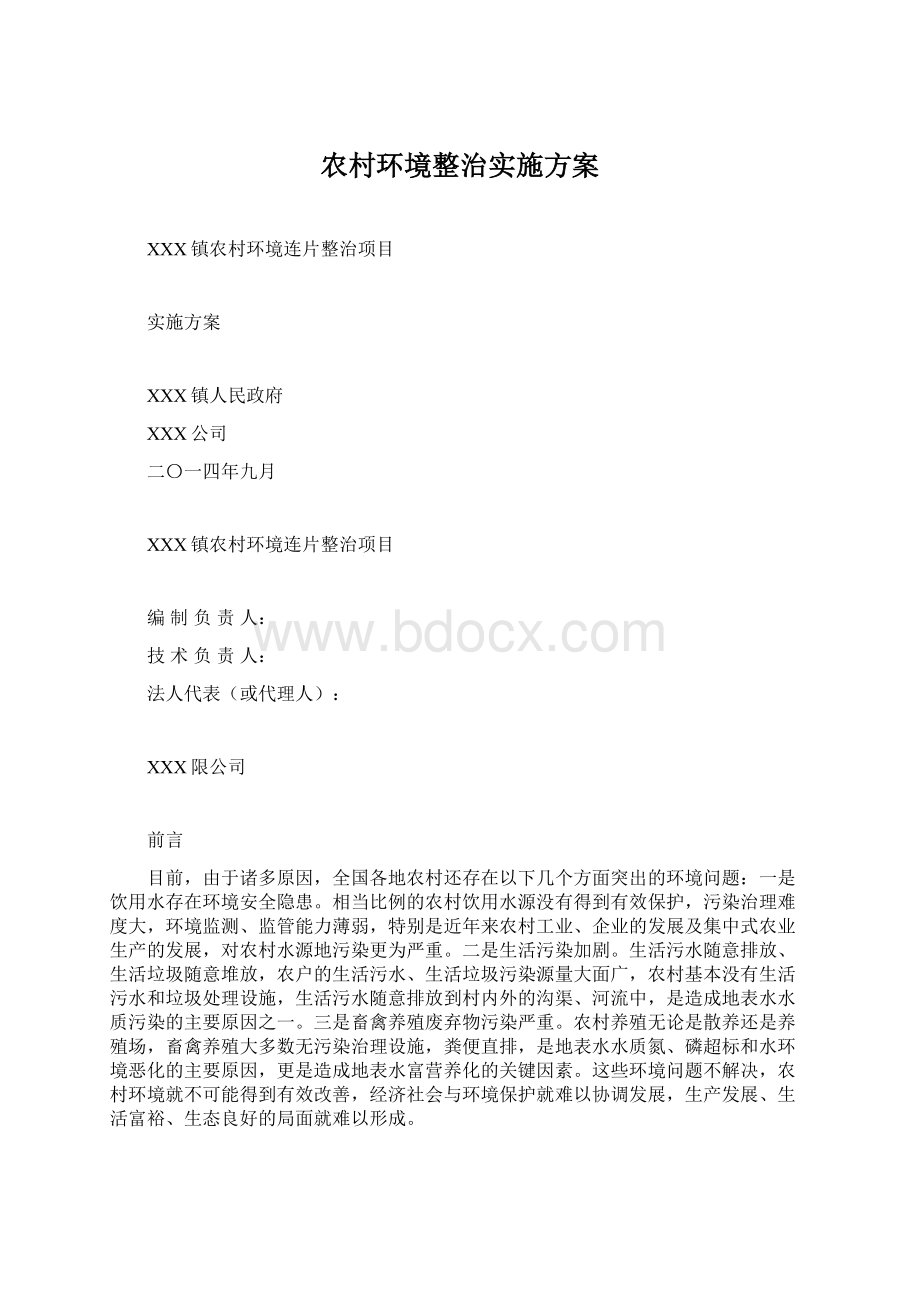 农村环境整治实施方案文档格式.docx