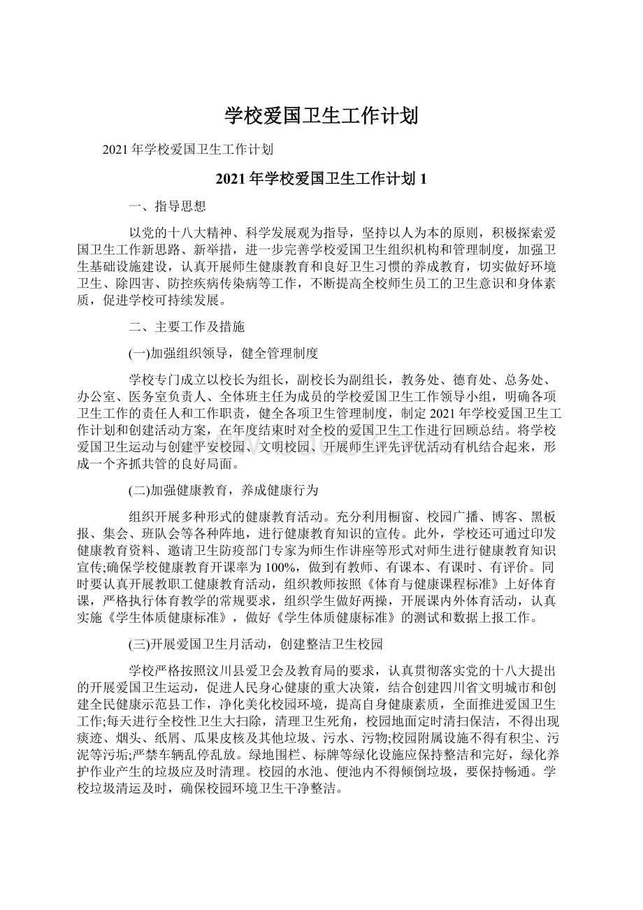 学校爱国卫生工作计划文档格式.docx