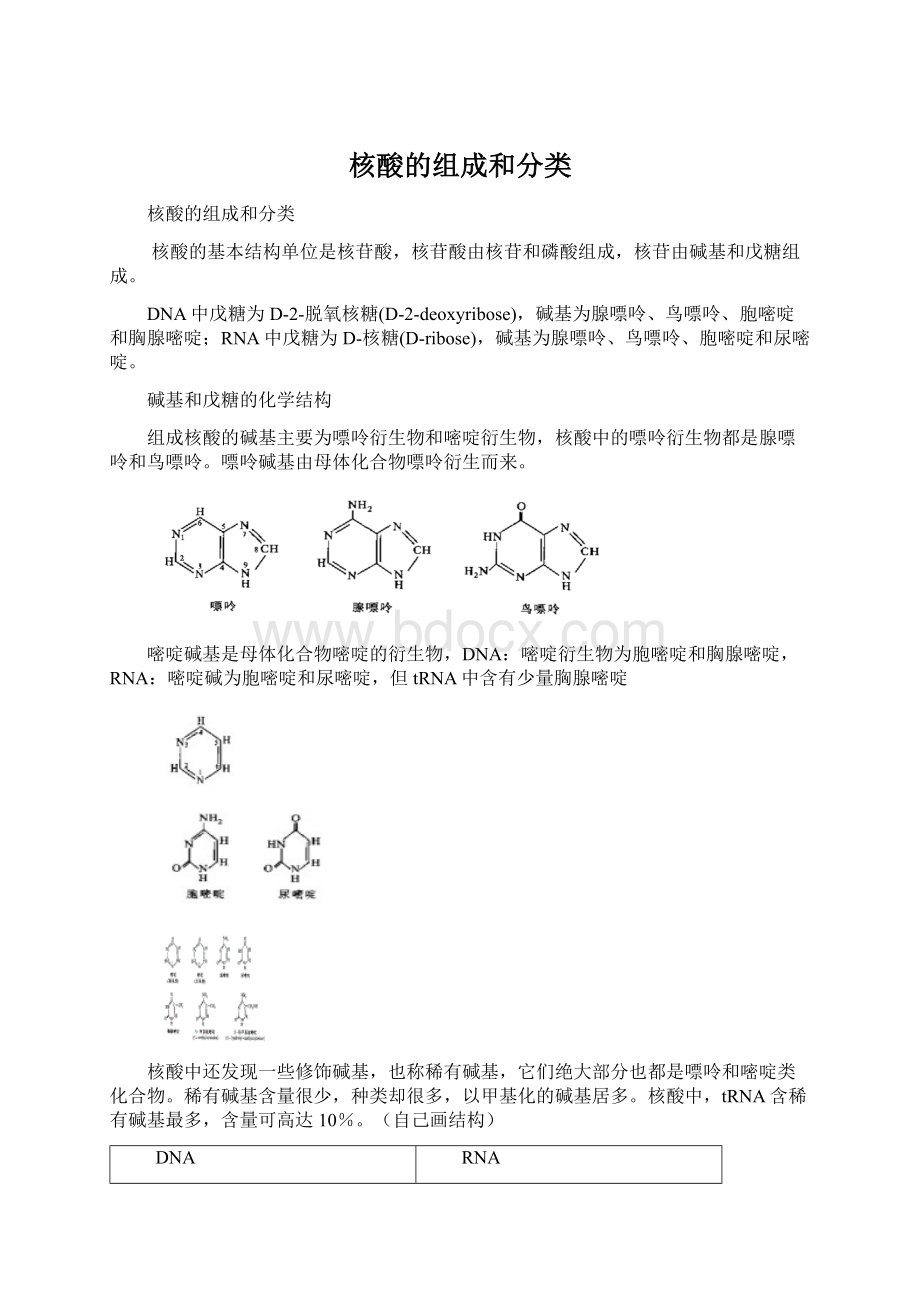 核酸的组成和分类.docx_第1页