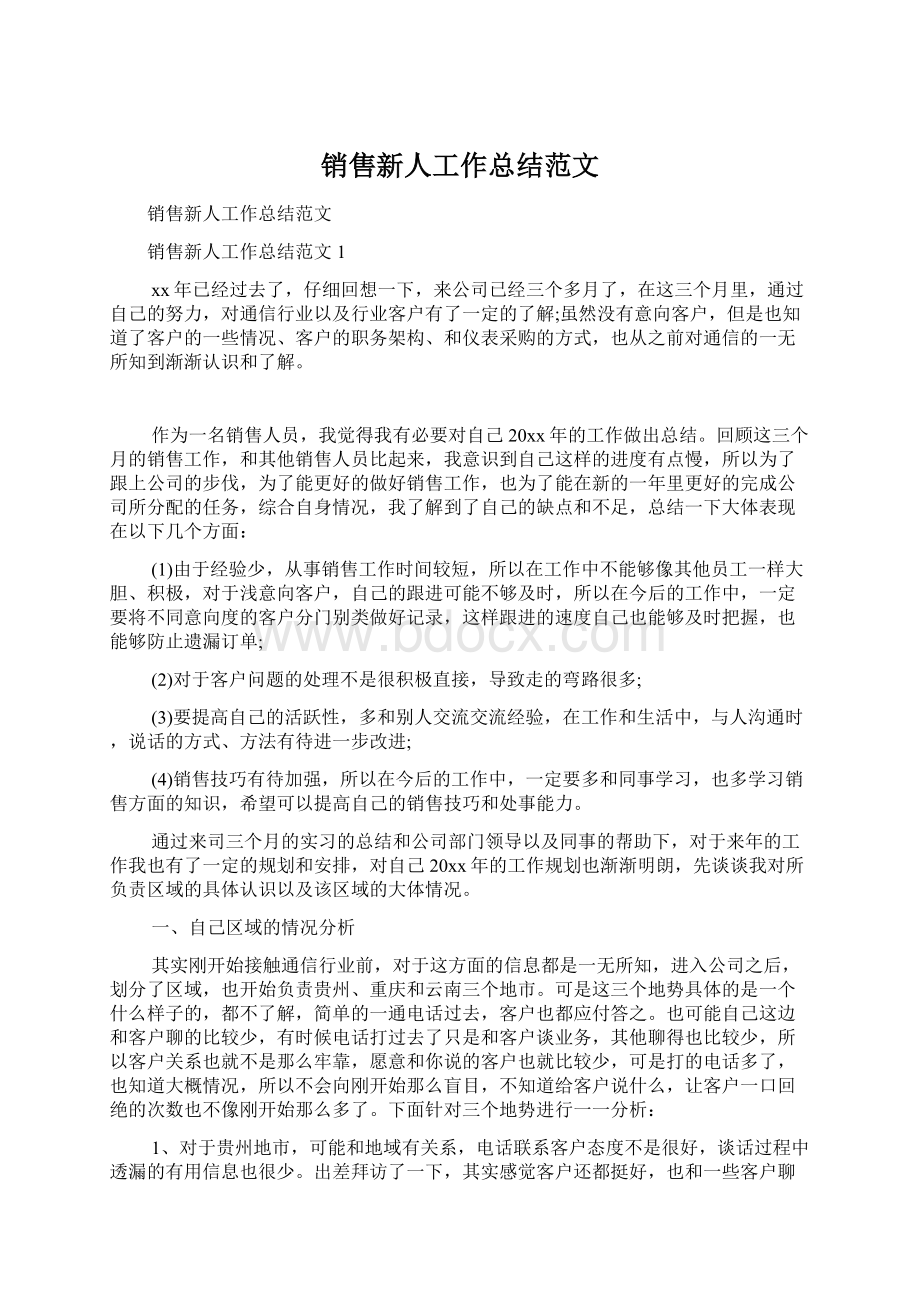 销售新人工作总结范文Word下载.docx