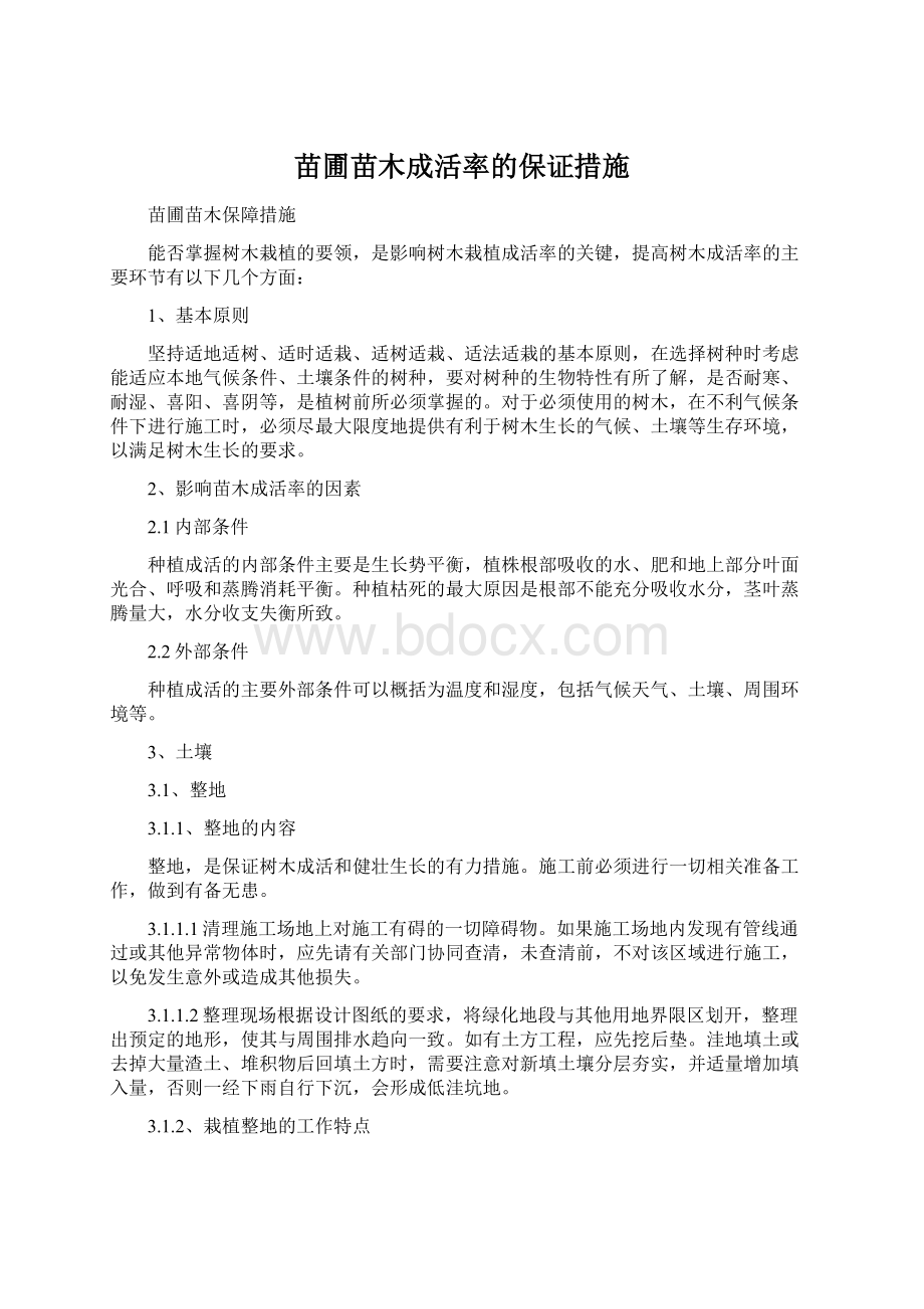 苗圃苗木成活率的保证措施Word文档下载推荐.docx