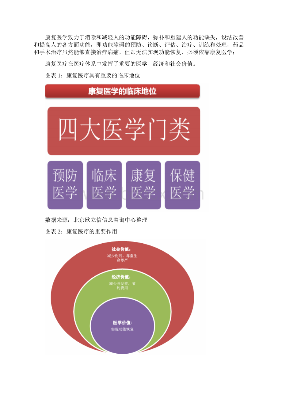 康复医疗行业市场投资分析报告.docx_第3页