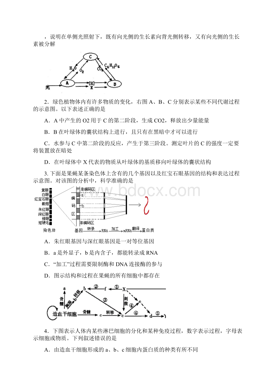 高中化学短时训练7MicrosoftWord文档4.docx_第2页