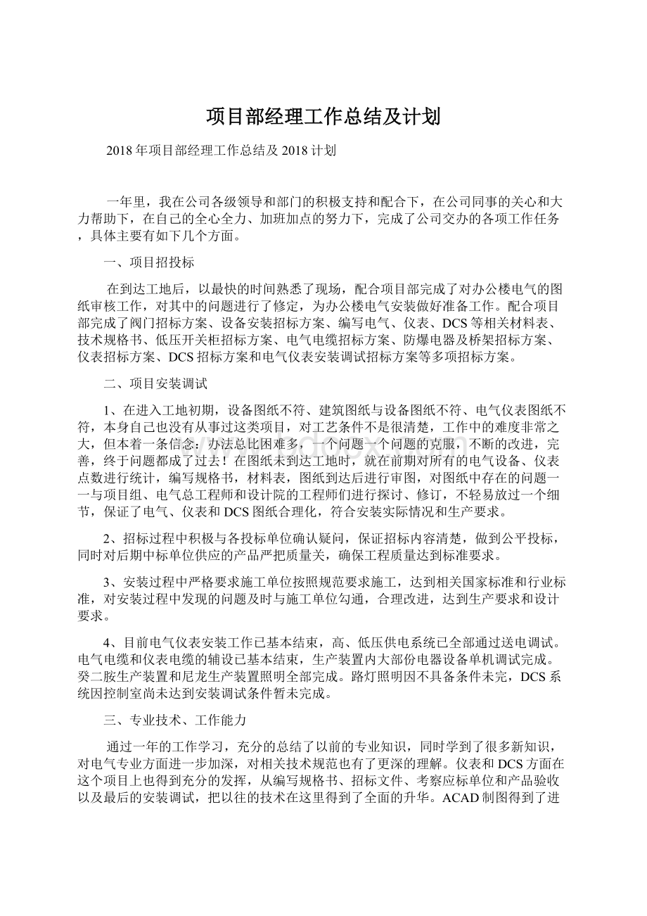 项目部经理工作总结及计划.docx