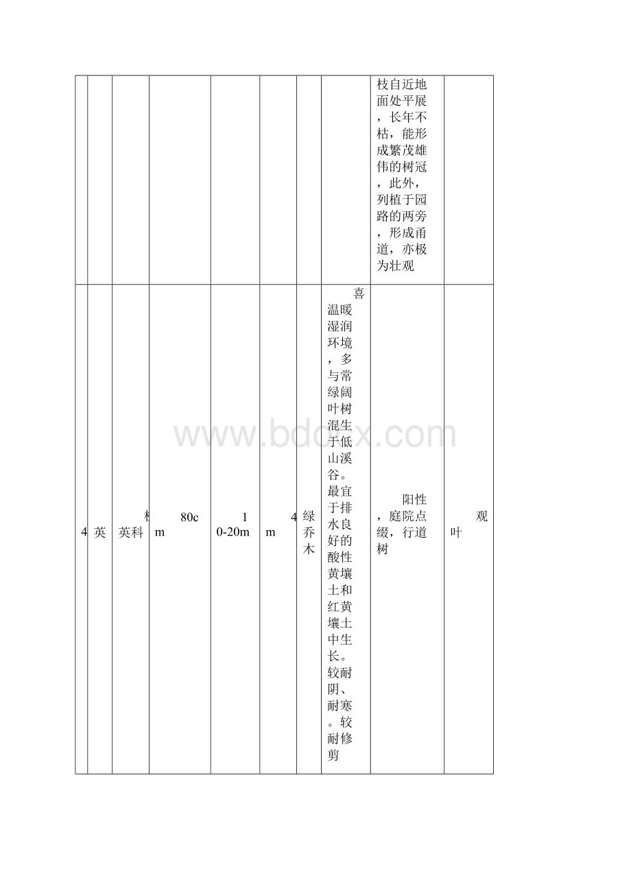 最新园林景观常见绿化植物归纳表Word文档下载推荐.docx_第3页