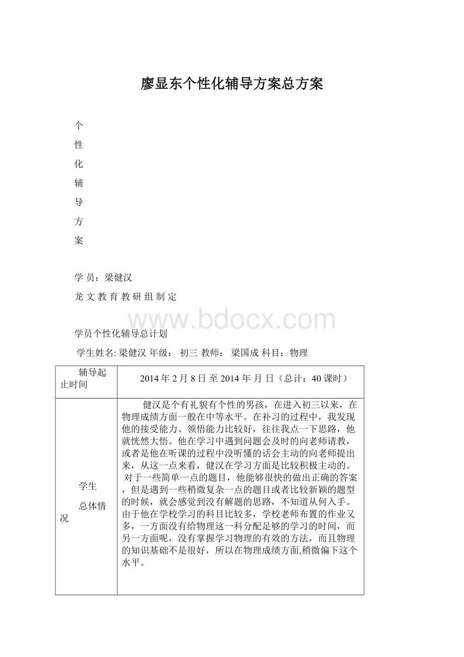 廖显东个性化辅导方案总方案文档格式.docx_第1页