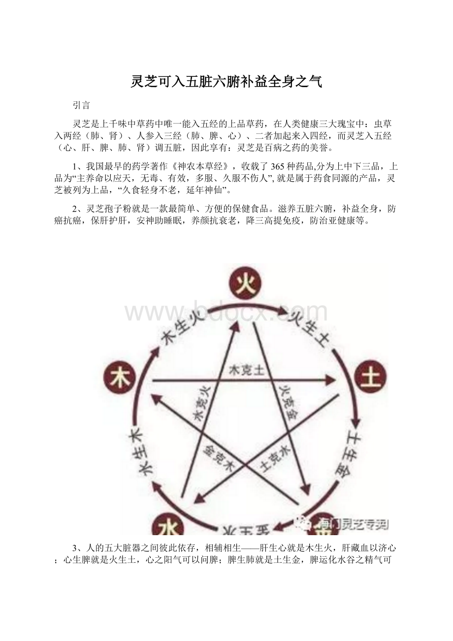 灵芝可入五脏六腑补益全身之气文档格式.docx