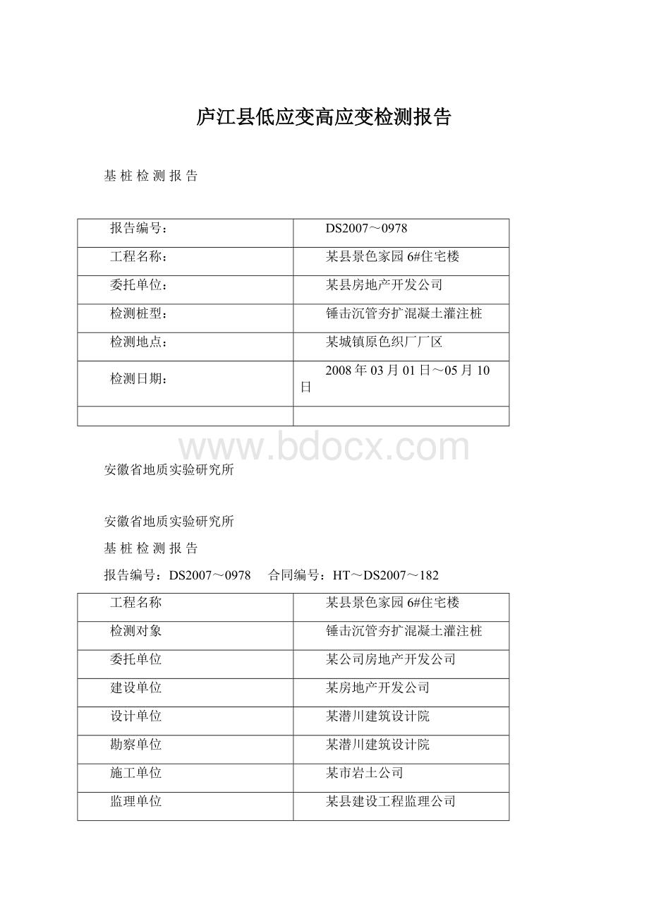 庐江县低应变高应变检测报告.docx_第1页