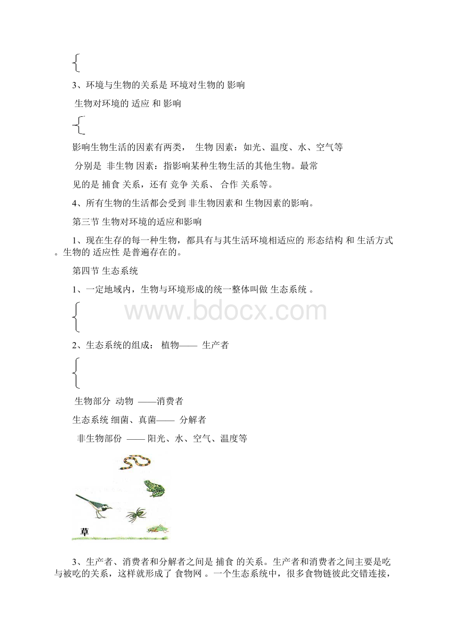 七年级上册生物复习填空doc重点Word格式.docx_第2页