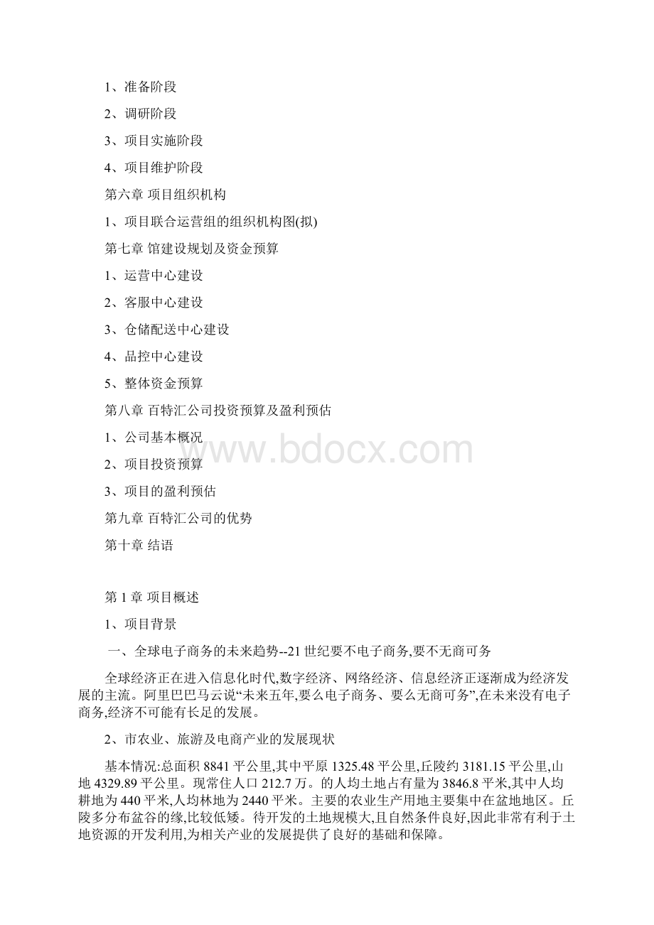 淘宝特色中国衢州馆项目可行性报告.docx_第2页