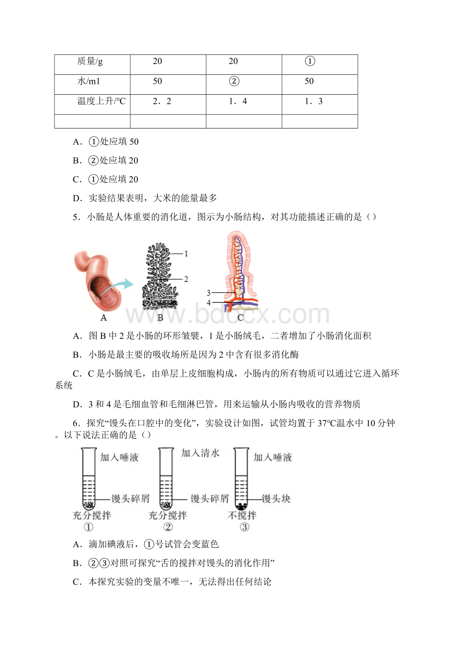 沈阳市七年级下学期期末生物试题题及答案Word格式文档下载.docx_第2页