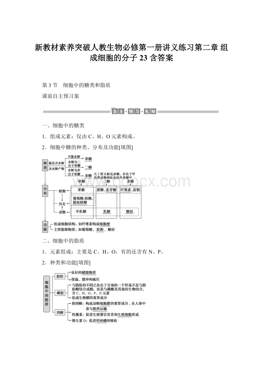 新教材素养突破人教生物必修第一册讲义练习第二章 组成细胞的分子 23 含答案.docx_第1页