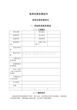 某项目商务策划书Word下载.docx