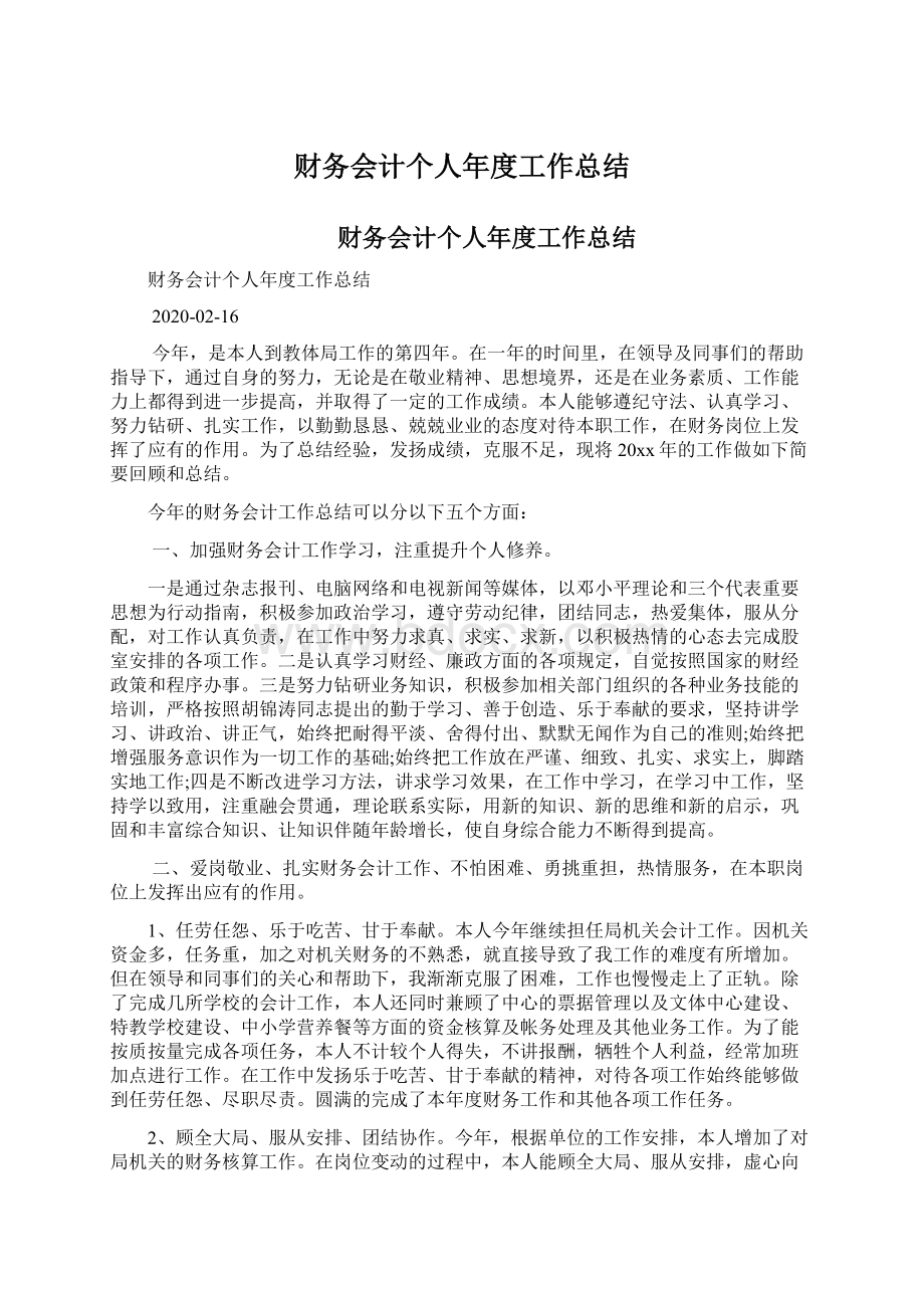 财务会计个人年度工作总结文档格式.docx_第1页