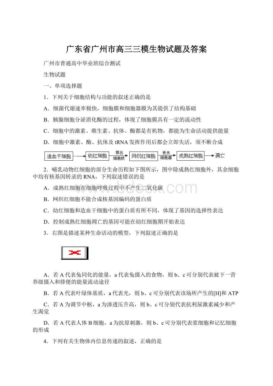 广东省广州市高三三模生物试题及答案.docx_第1页