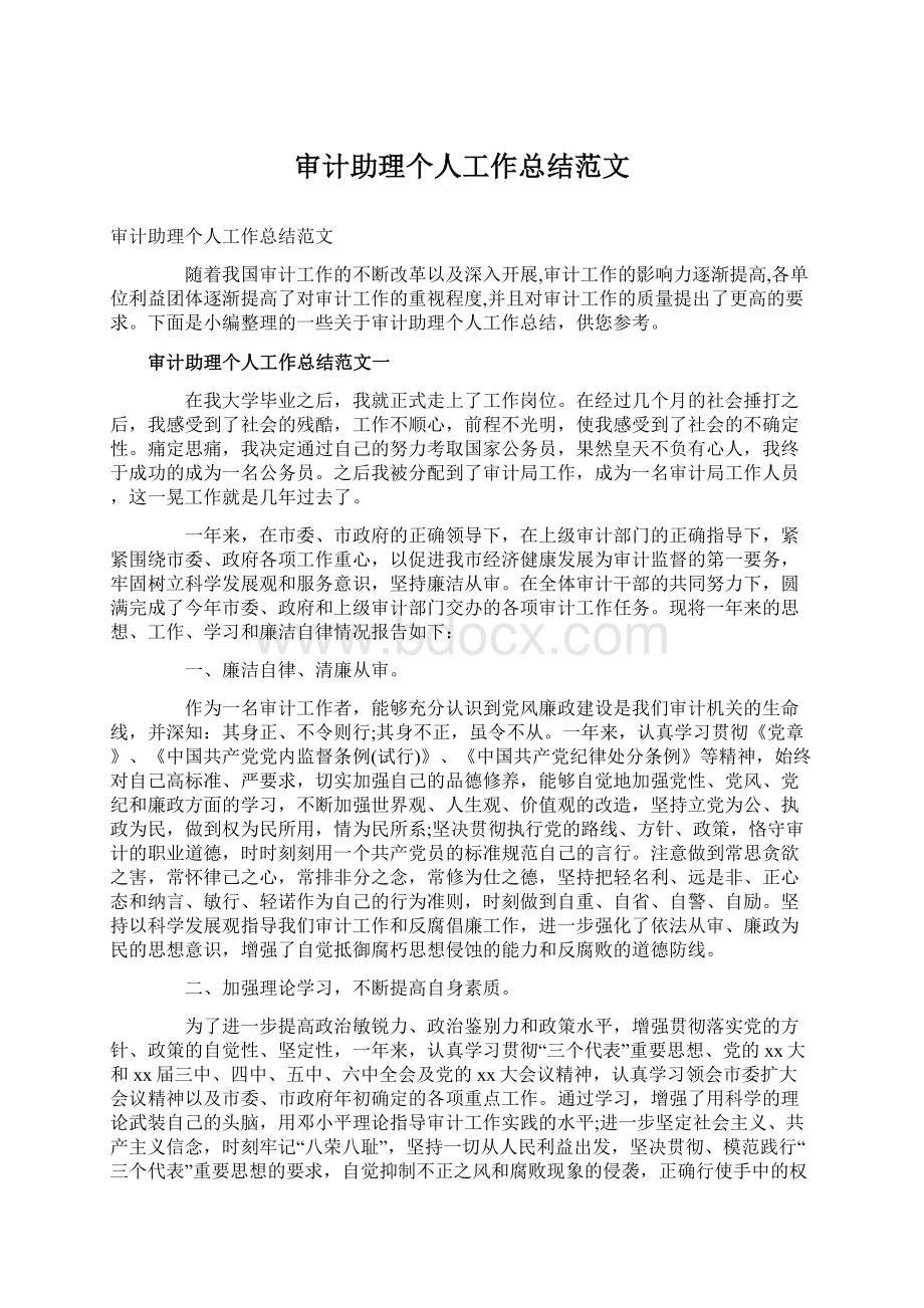 审计助理个人工作总结范文Word格式.docx