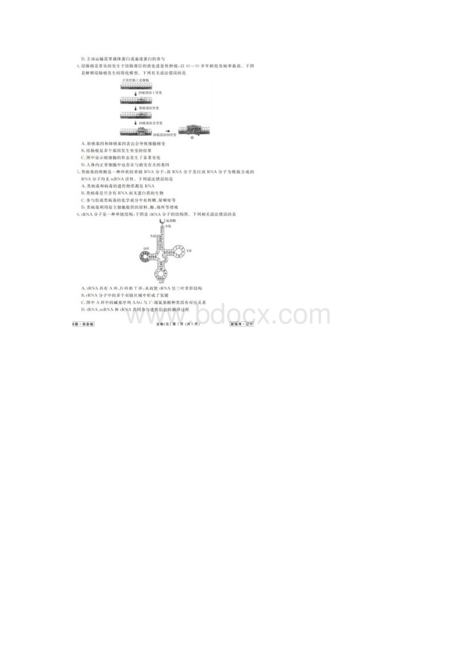 衡水金卷先享题信息卷普通高等学校招生全国统一模拟试题生物五有答案.docx_第2页