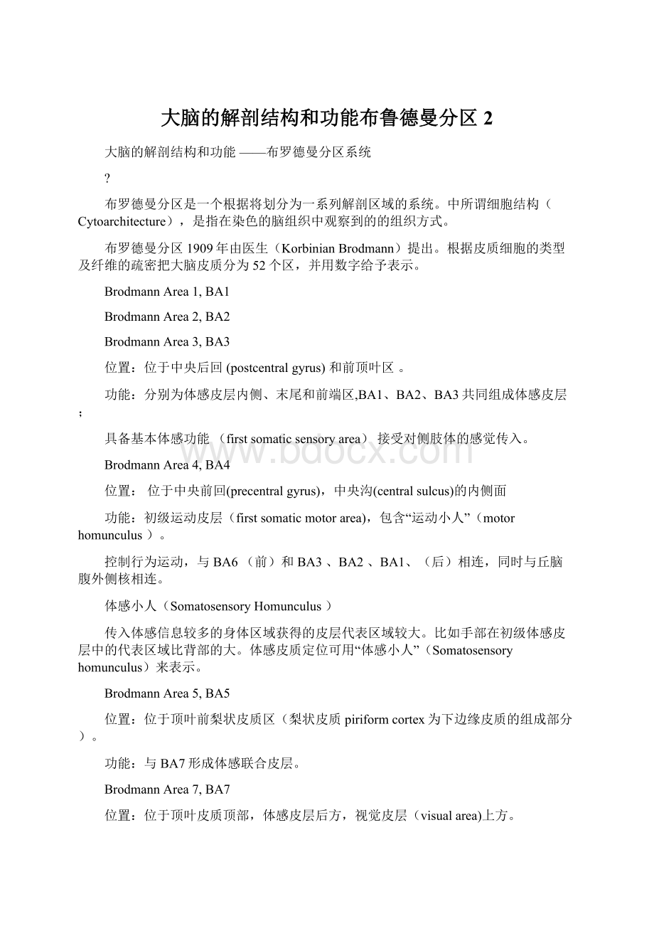 大脑的解剖结构和功能布鲁德曼分区 2.docx